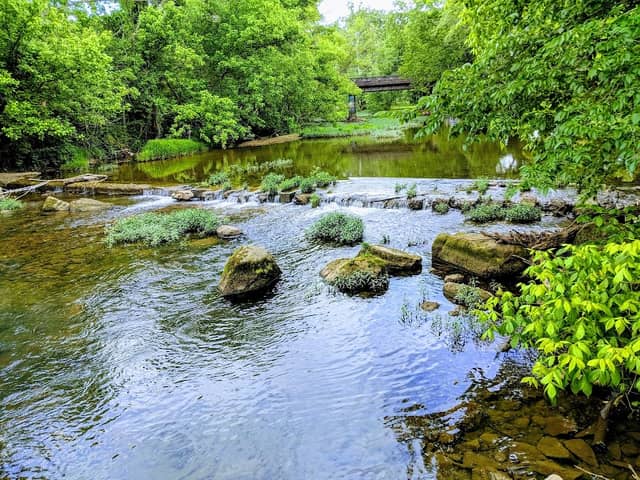 Fred Deadman Park - Image 1