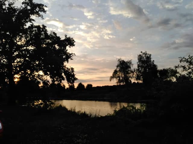 Starorzecze Warty - Pogorzelica - Image 2