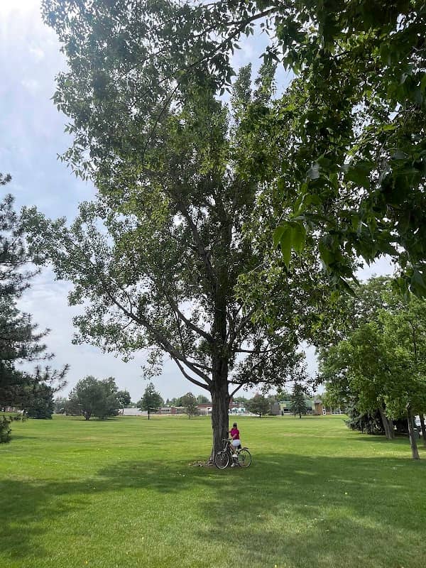 Fitzmorris Park - Image 2