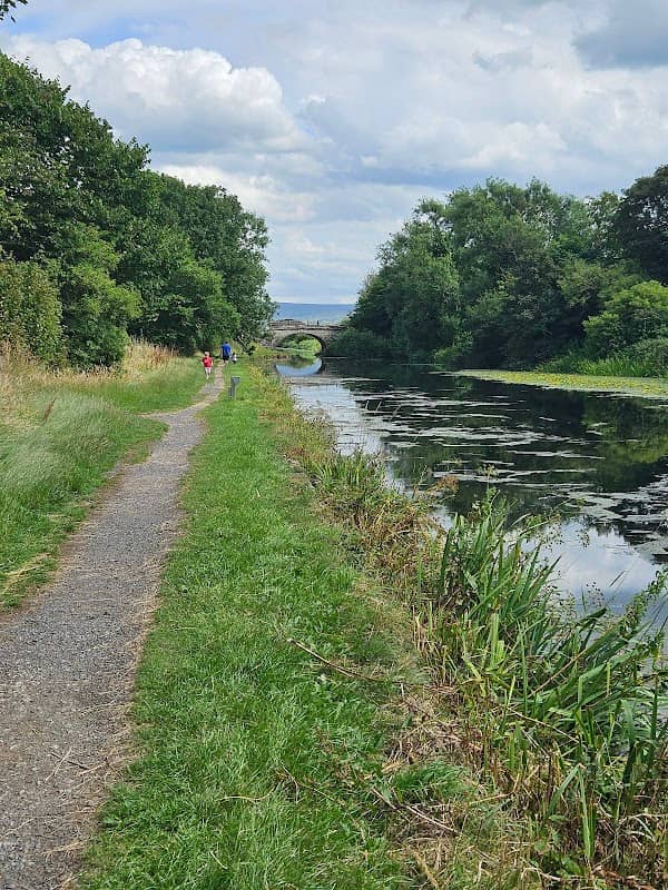 Glasson Flight Canal Path - West - Image 2