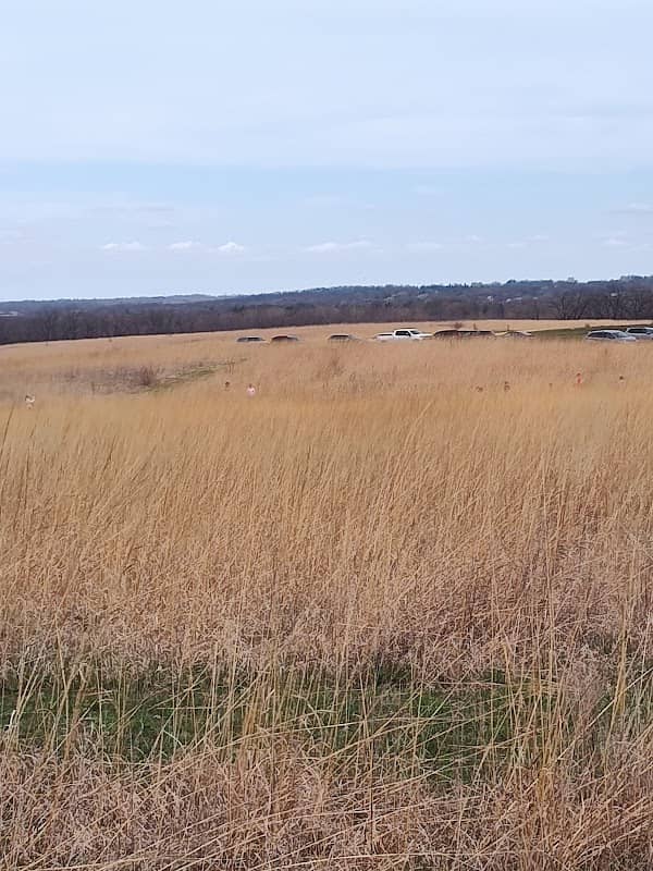 Byron Forest Preserve District - Image 2