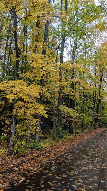 Renker Nature Preserve - Image 1