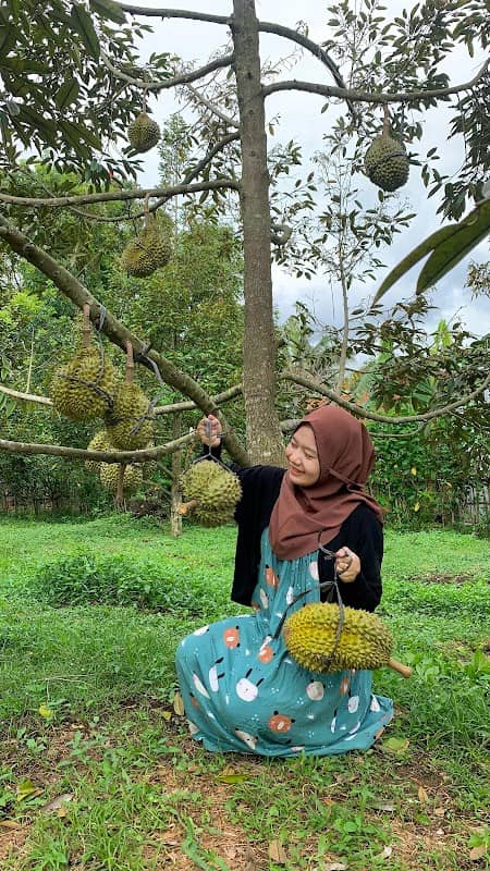 KEBUN DURIAN KURIPAN - Image 1