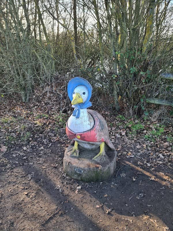 Peter Rabbit Woodland Trail - Langdon Nature Discovery Park - Image 2
