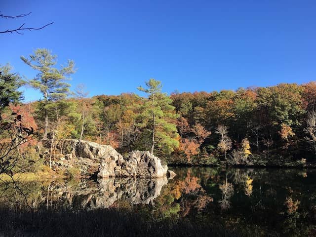 Trout Pond Recreation Area - Image 2
