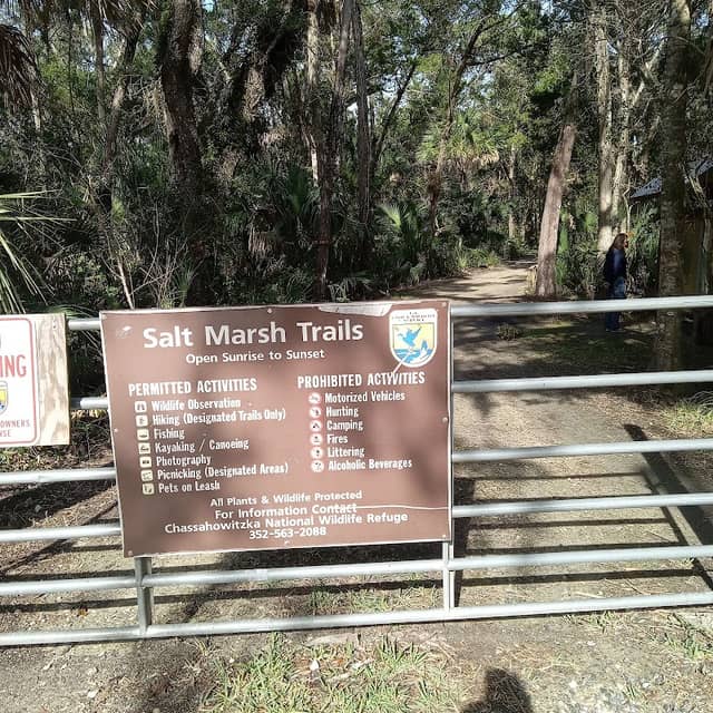 Salt Marsh Trails - Crystal River Wildlife Refuge Complex Trailhead - Image 1