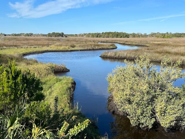 Salt Marsh Trails - Crystal River Wildlife Refuge Complex Trailhead - Image 3