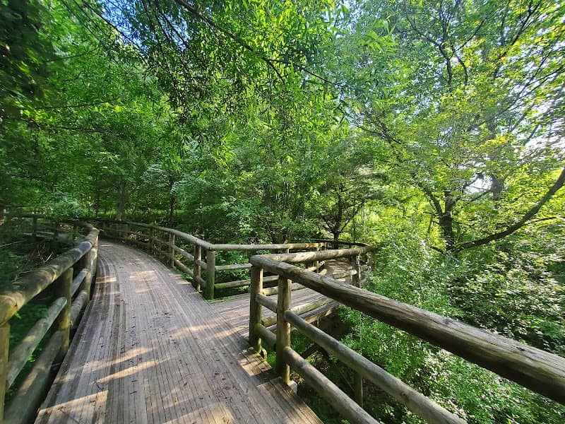 Coal Mining Heritage Park and Loop Trail - Image 1