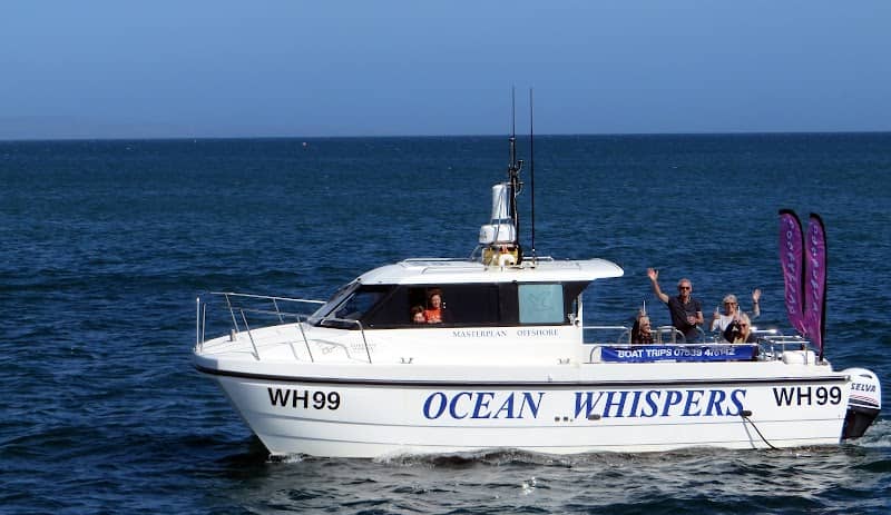 Ocean Whispers - Image 1