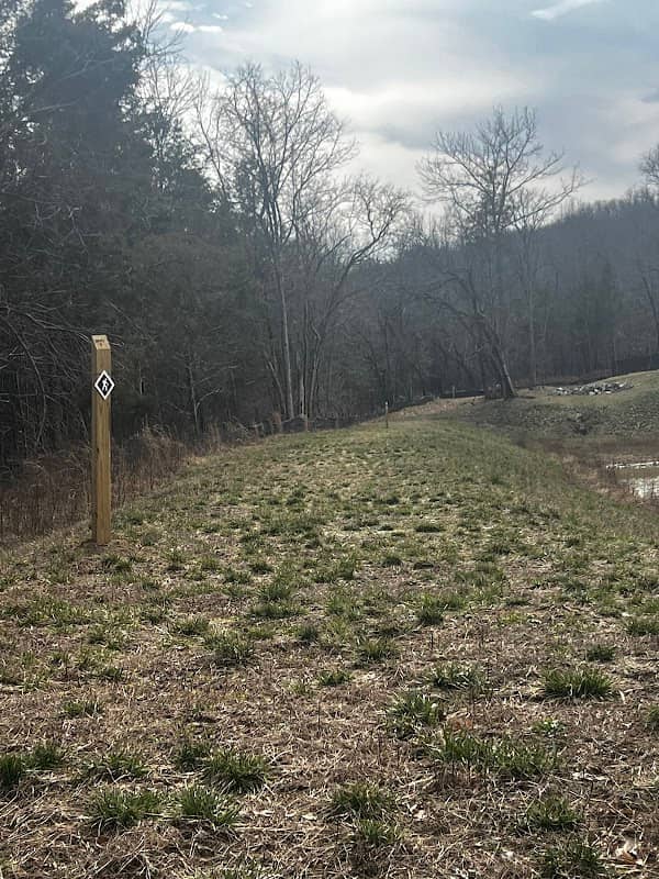 Witherspoon Woods Trail Summit - Image 1