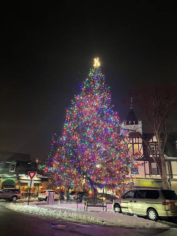 Ridgewood Christmas Tree - Image 5