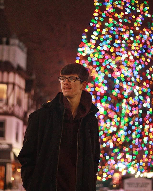 Ridgewood Christmas Tree - Image 4