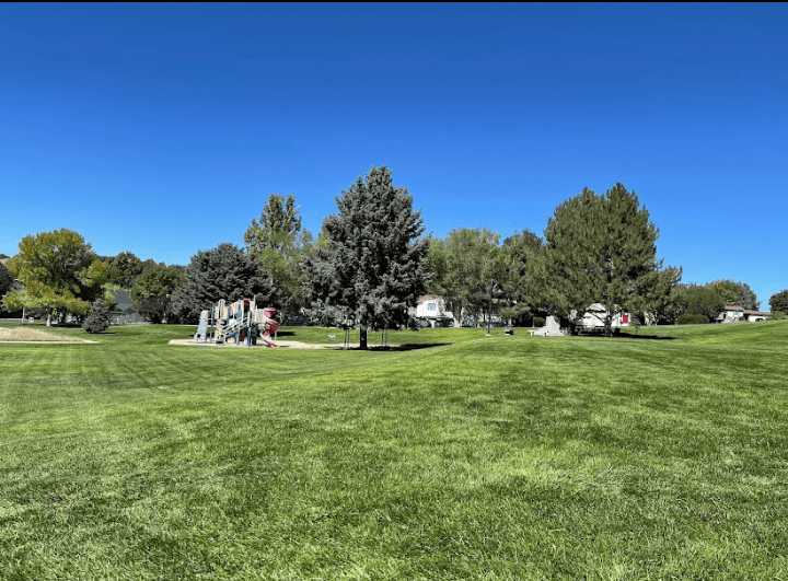 Angel Park - Image 1