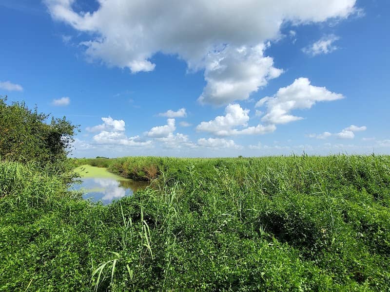Sabine National Wildlife Refuge - Image 2