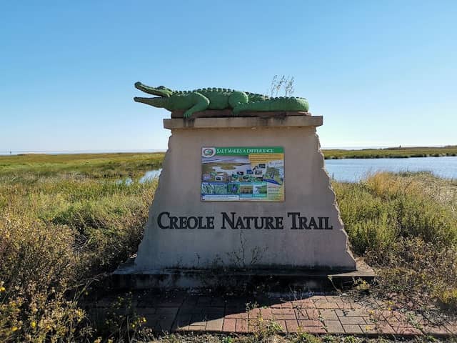Sabine National Wildlife Refuge - Image 3