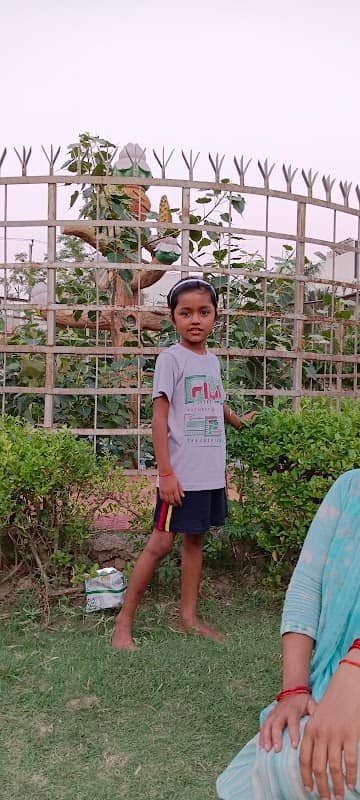 Ch. Lehri Singh Park - Image 1