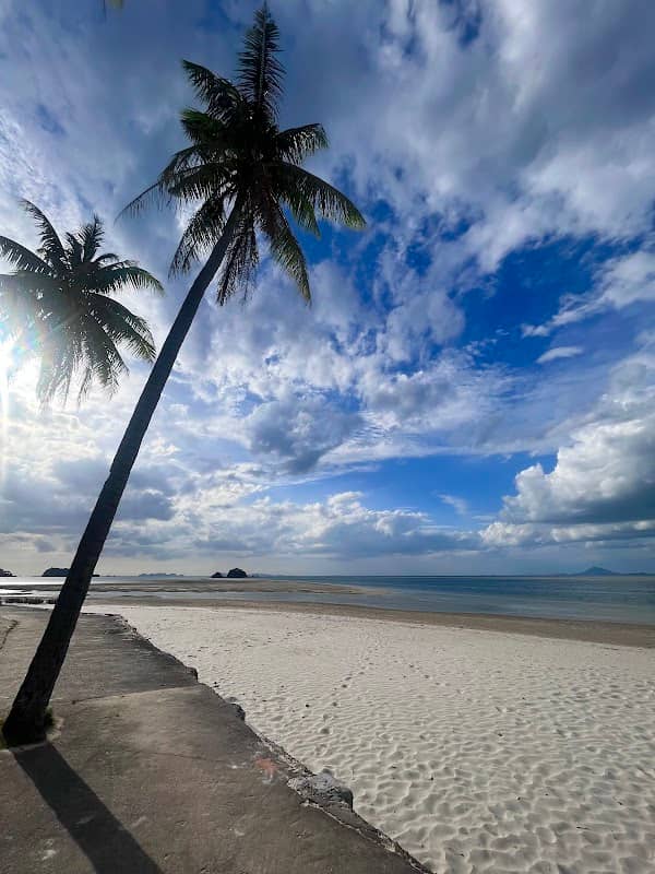 Beautiful Beach - Image 3