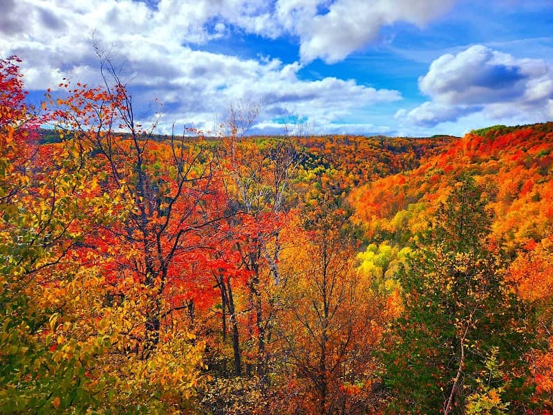 Devil's Glen Provincial Park - Image 1