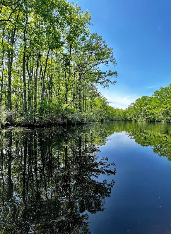 Northwest River Natural Area Preserve - Image 2