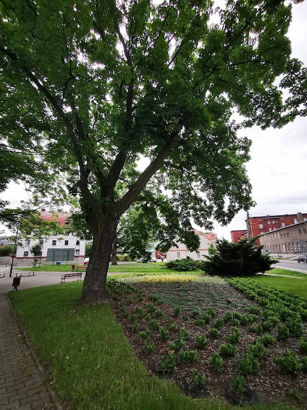 Skwer w centrum Toszka - Image 1