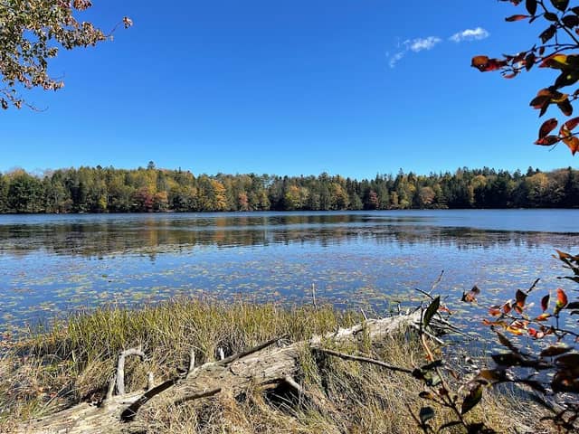 Promised Land State Park Conservation Island - Image 2