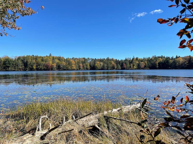 Promised Land State Park Conservation Island - Image 2
