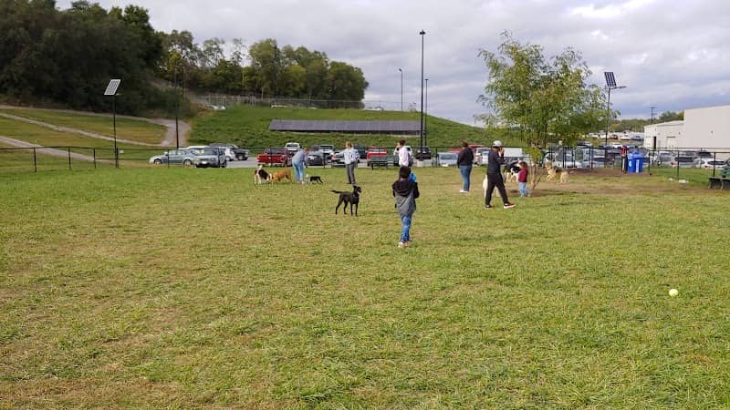 Beardmore Freedom Dog Park - Image 2