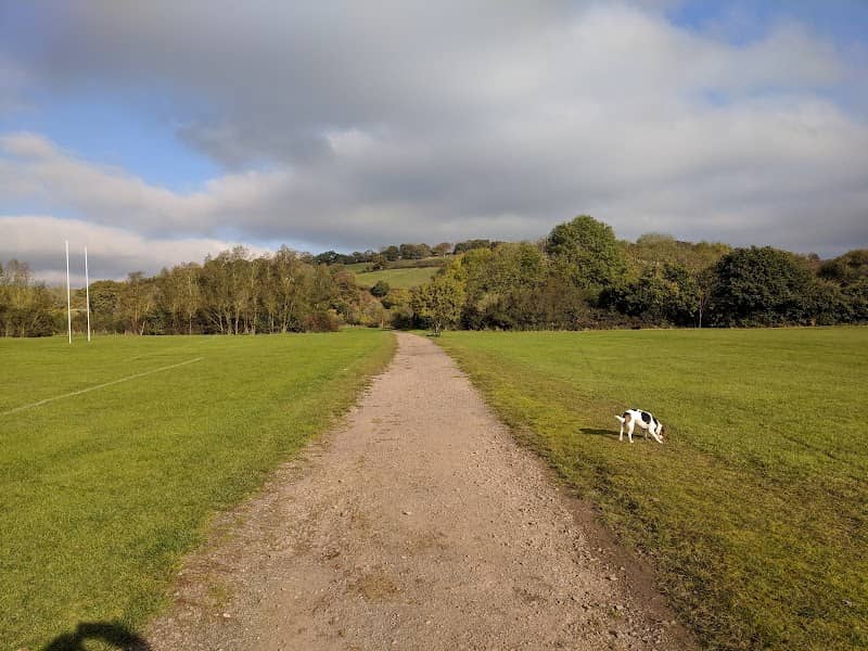 Glebelands Park - Image 1