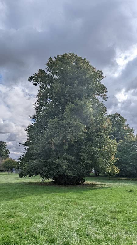 Weavers Park - Image 2