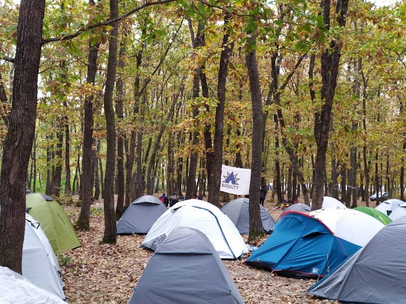 inğeada kamping ormanı - Image 1