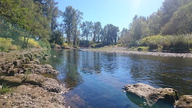 Canby Community (River) Park - Image 2