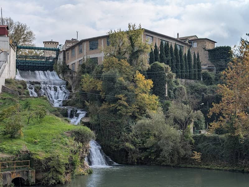 Area Verde Viscogliosi - Image 1