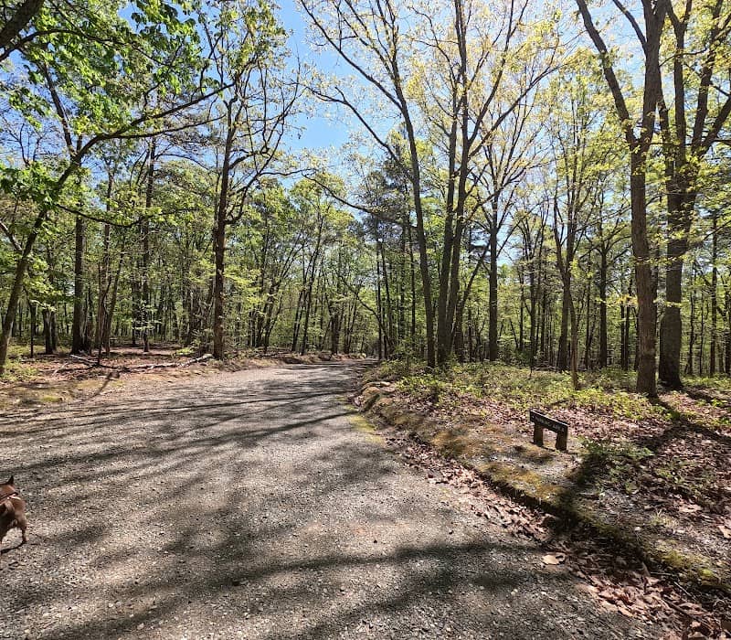 Occoneechee Mountain State Natural Area - Image 3