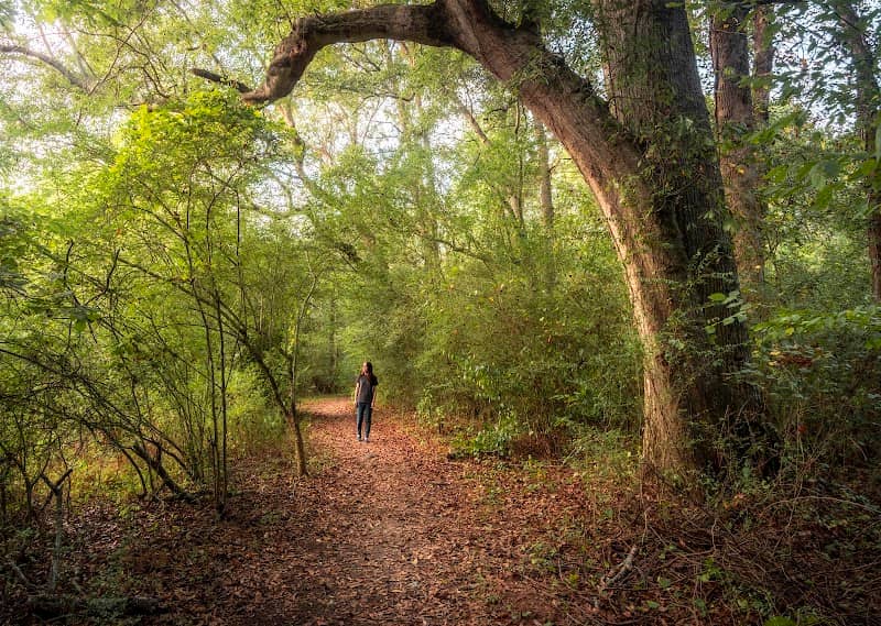 Braselton Mulberry RiverWalk - Image 2
