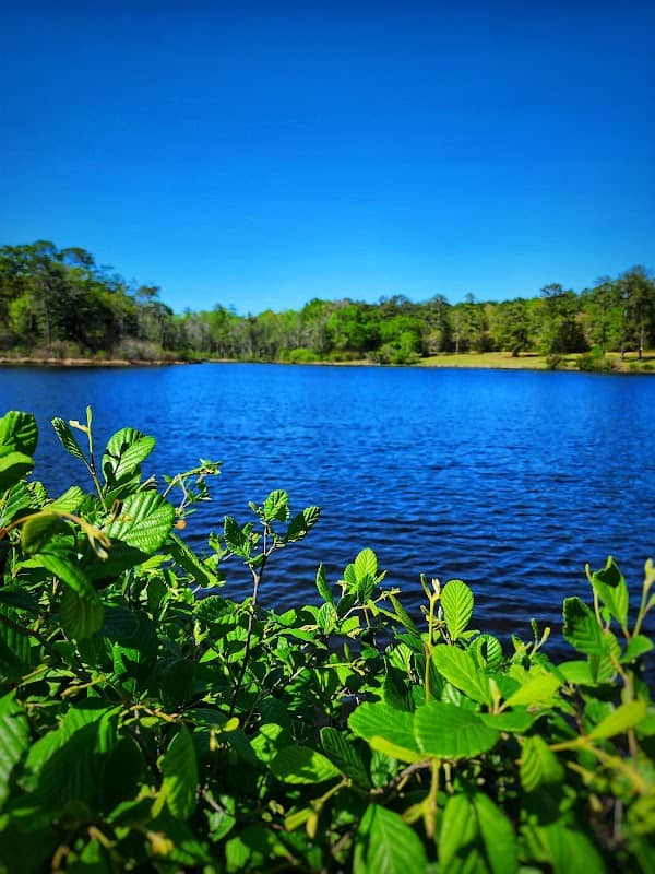Buckhorn Lake - Image 2