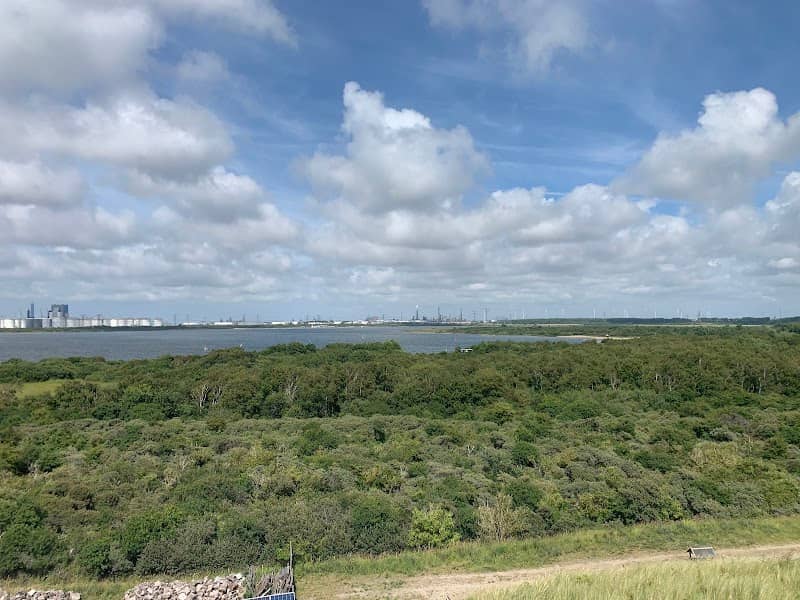 Parnassiavlak Oostvoorne - Image 2