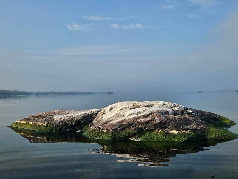Izzy Island - Image 1