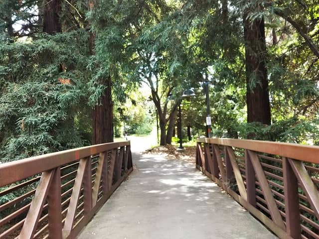 El Palo Alto Park - Image 1