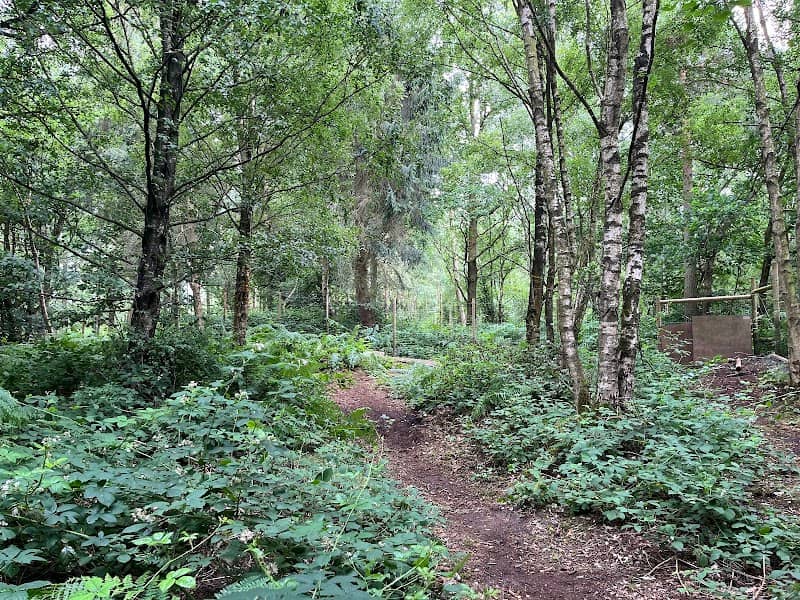 WILD WOODS DOGGONE SECURE WALKING PARKS - Image 1