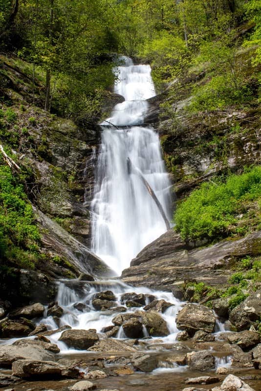 Toms Creek Falls Trail - Image 2