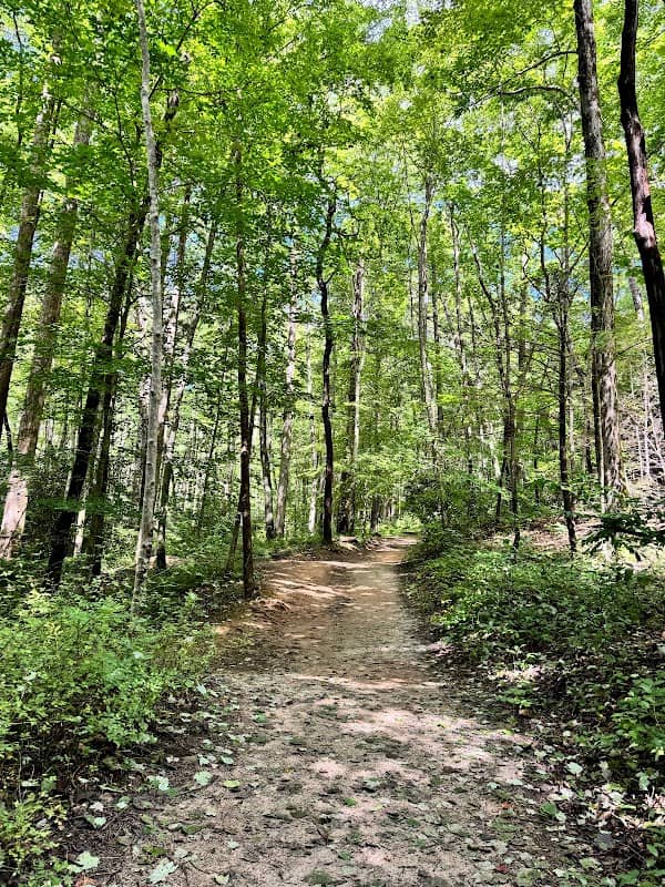 Toms Creek Falls Trail - Image 3