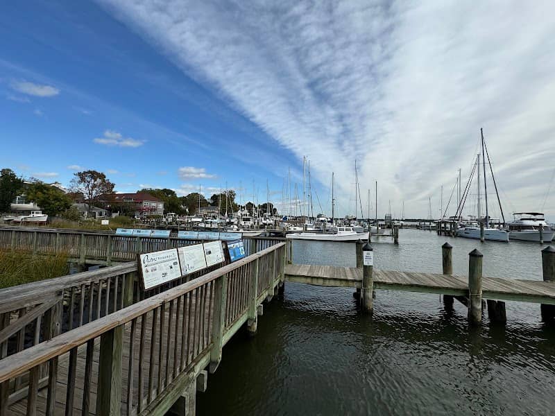 Annapolis Maritime Museum - Park Campus - Image 2