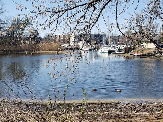 Annapolis Maritime Museum - Park Campus - Image 3