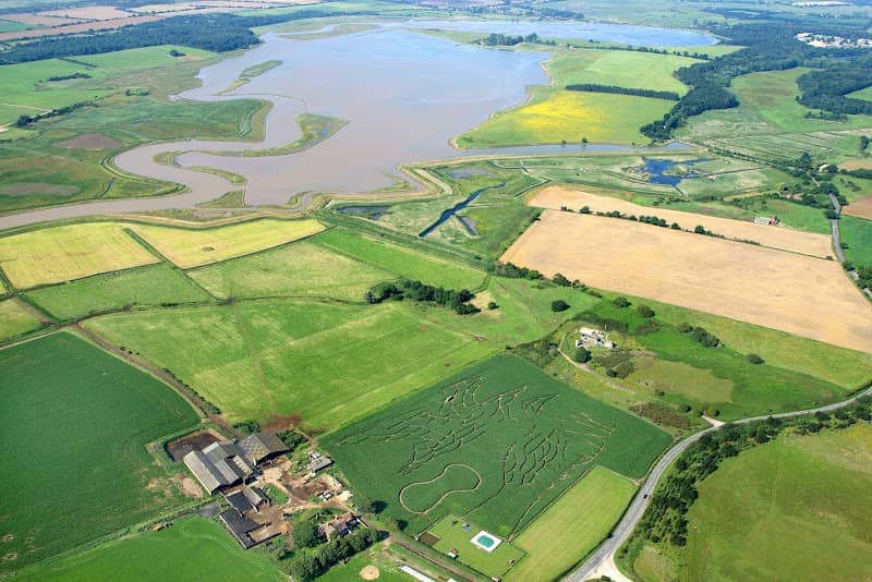 Southwold Maize Maze - Image 1