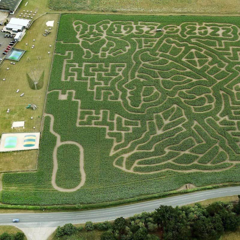 Southwold Maize Maze - Image 2