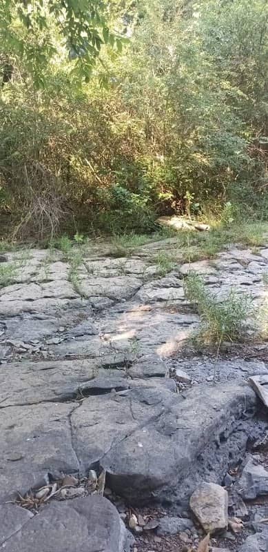 Pea Ridge Creek - Image 2