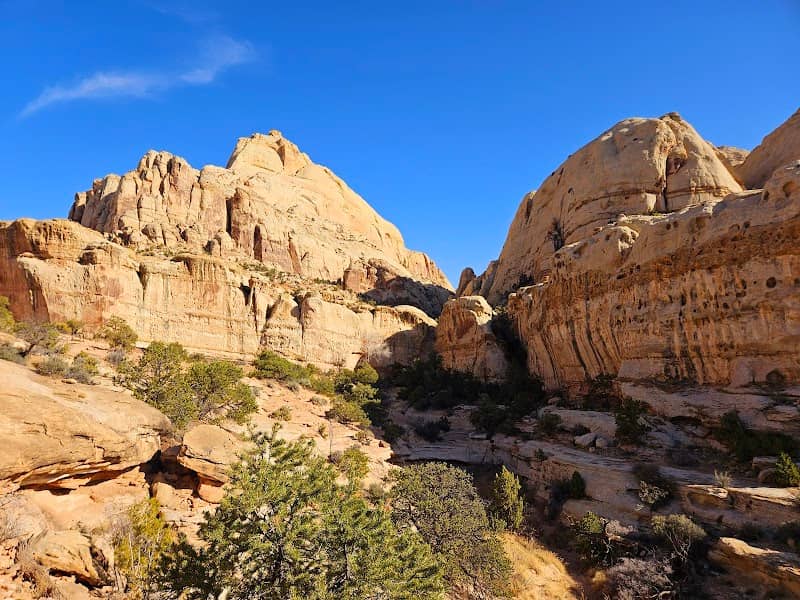 Hickman Natural Bridge - Image 2