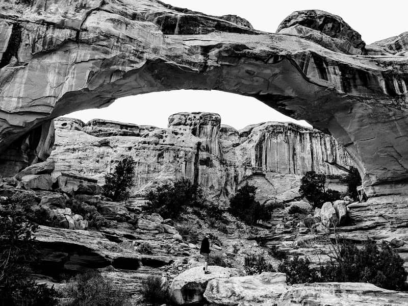 Hickman Natural Bridge - Image 3