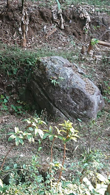 Watu Dino(saurus) - Image 1