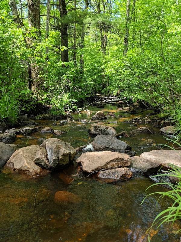 Kronenwetter Forest Unit - Image 1